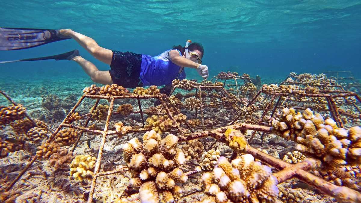 Sustainable Bliss: Your Dream Vacation Awaits at OBLU SELECT Sangeli Resort