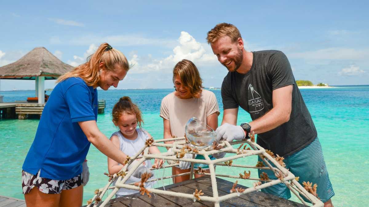 Unveiling the Secrets of Coral Conservation: Dive into the Sheraton Maldives' Adopt A Coral Program!