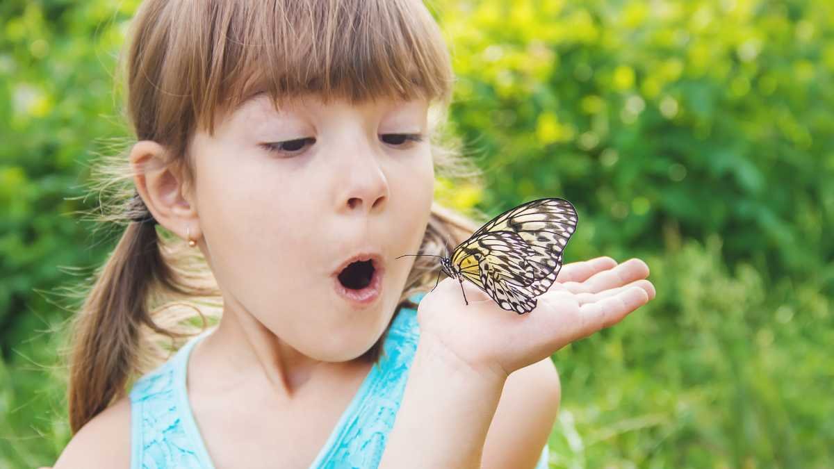 Eden Café at Butterfly Gardens Abu Dhabi"