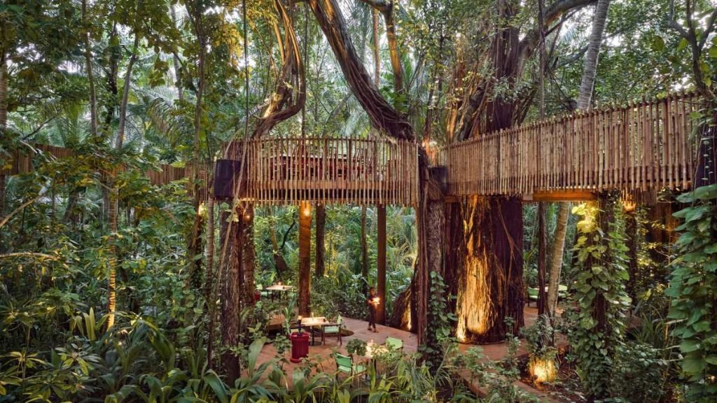 Maldives' Iconic Nest Restaurant Returns - A Jungle Dining Adventure Awaits!