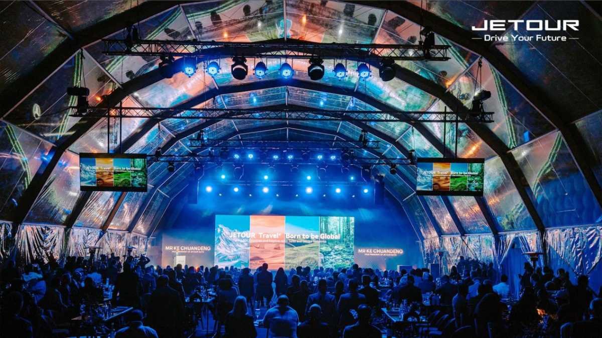 Cheetahs The World's Fastest Land Animals Facing Rapid Decline