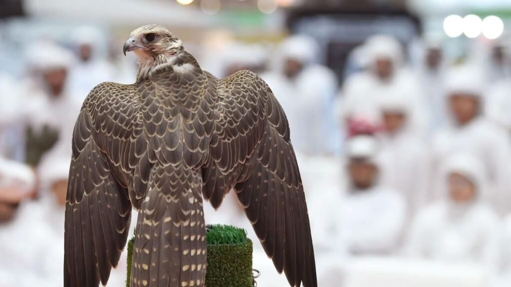 Falcons, Horses & Heritage Shine at ADIHEX 2025 in Abu Dhabi