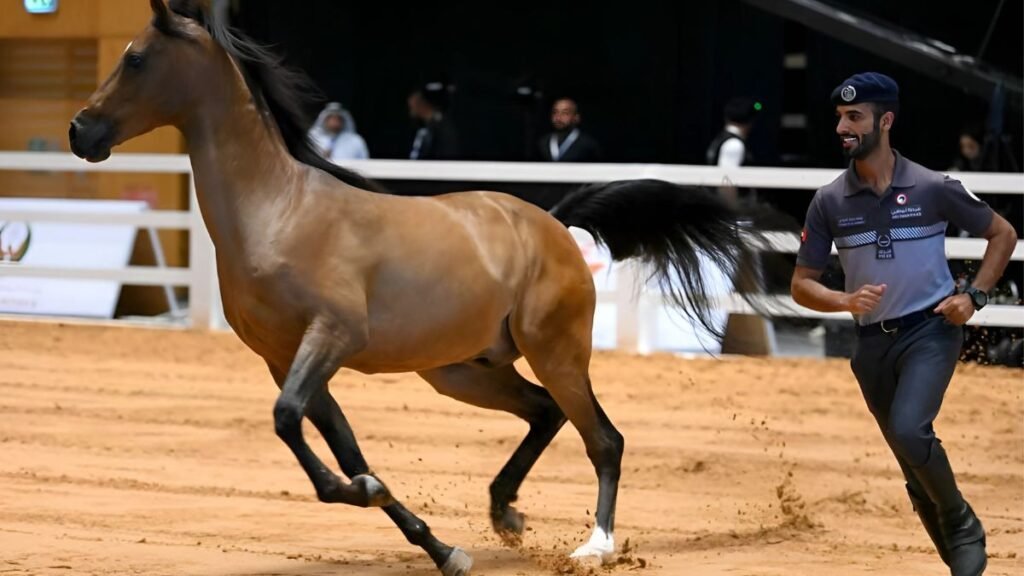 Falcons, Horses & Heritage Shine at ADIHEX 2025 in Abu Dhabi