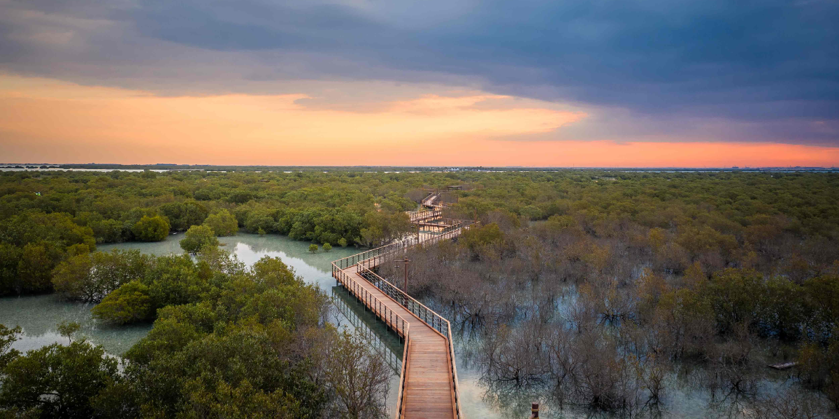 free place to visit abu dhabi mangrove park