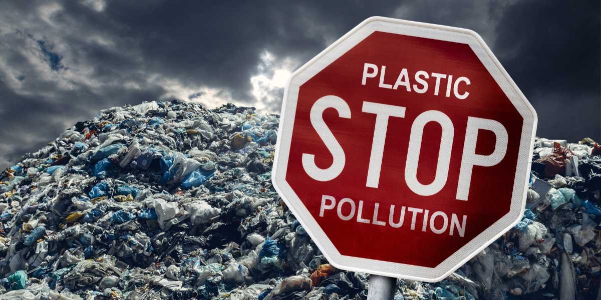 residents completing online plastic survey in Abu Dhabi