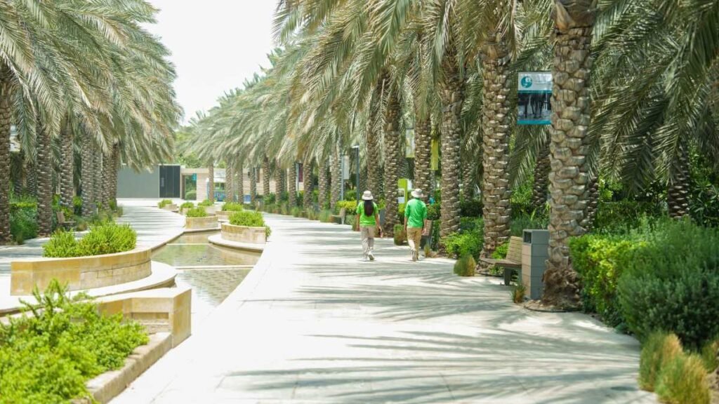 Bounce, Browse, Breathe: Enjoy Winter at Umm Al Emarat Park