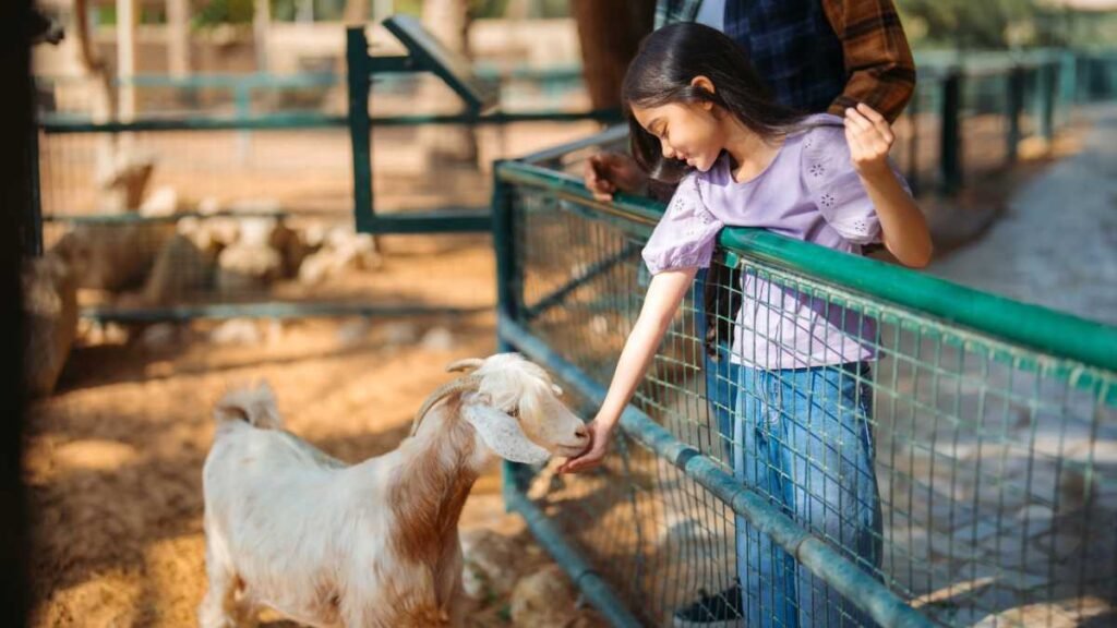 Explore Wildlife With Wonder At Al Ain Zoo, Abu Dhabi
