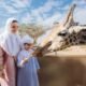 Explore Wildlife With Wonder At Al Ain Zoo, Abu Dhabi