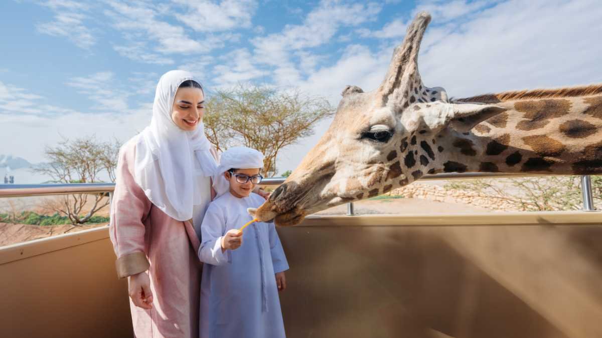 Explore Wildlife With Wonder At Al Ain Zoo, Abu Dhabi