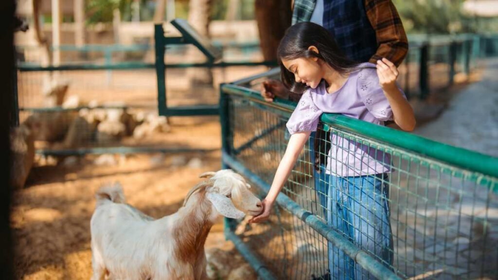 Al Ain Zoo’s “Wildlife Window” Camp Turns Winter into a Wild Learning Adventure (1)