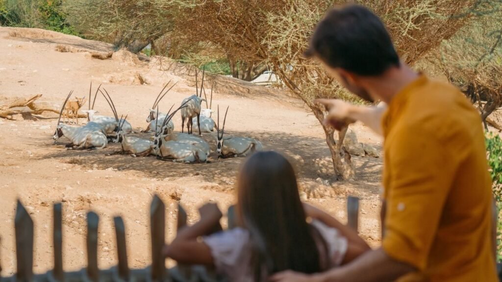 Explore Al Ain Zoo This Winter