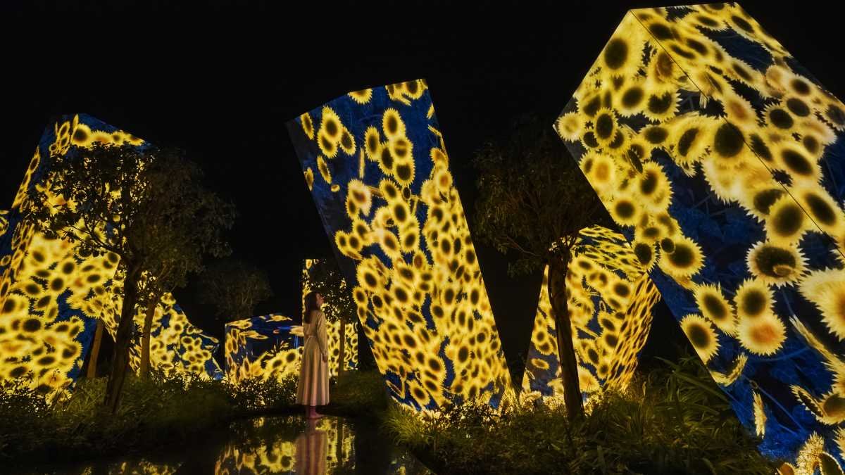 This Eid Step Into a Living Universe at teamLab Phenomena Abu Dhabi